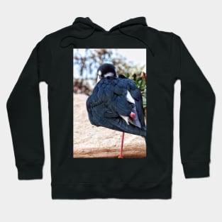 I am birdman Hoodie